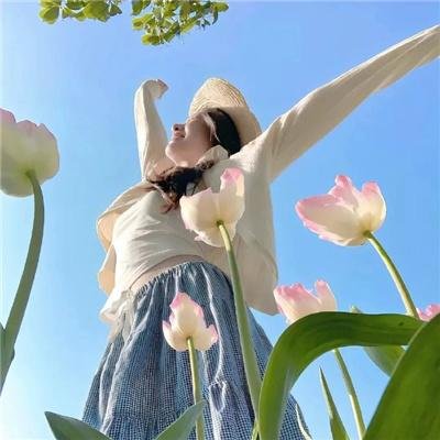 无耻之徒(美版) 第六季